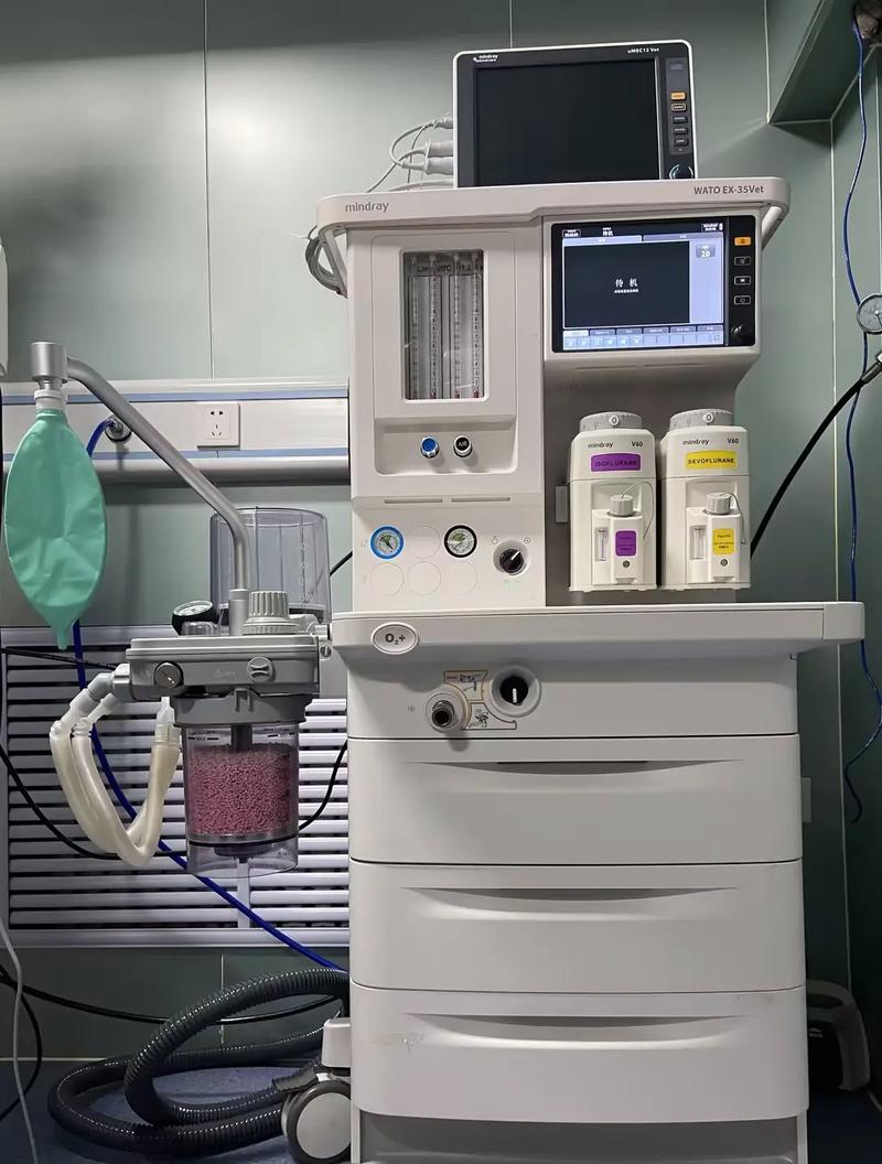 宠物呼吸麻醉机如何使用拜托各位了 3Q
